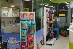 附近有宠物店吗,家门口的宠物乐园